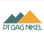 Official GAG NIKEL