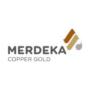 PT Merdeka Copper Gold Tbk PT Merdeka Copper Gold Tbk