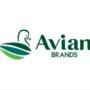Avian Brands