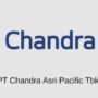 PT Chandra Asri Pacific Tbk