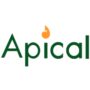 PT Apical Engineering