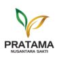 PT Pratama Nusantara Sakti (PNS)