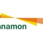PT Bank Danamon Indonesia Tbk
