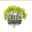 Green Generation Indonesia